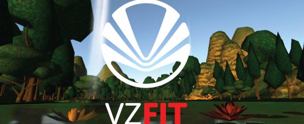 vzfit review