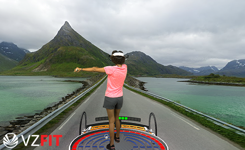 VZfit6